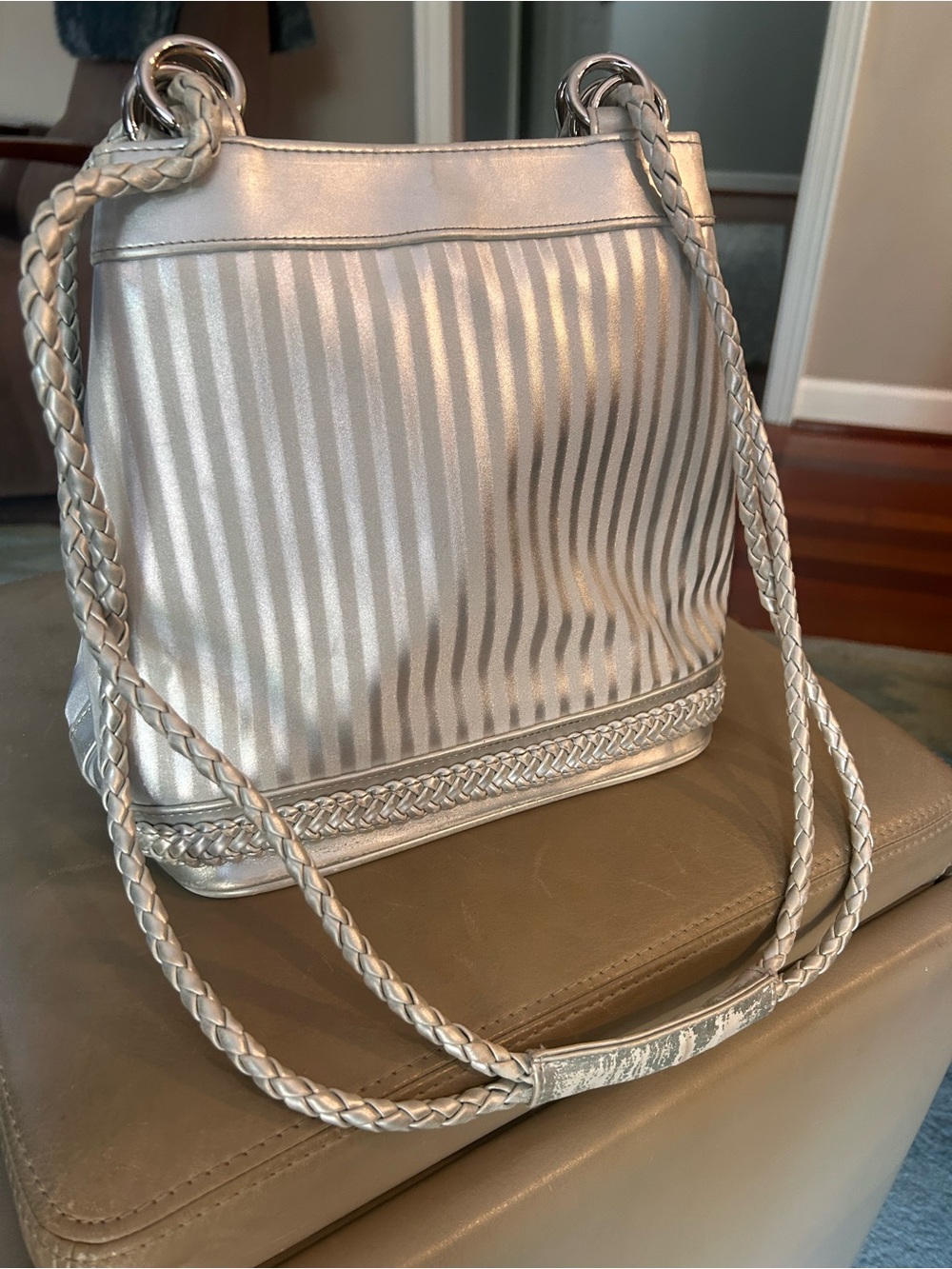 Tianni Silver Braided-Trim Shoulder Bag